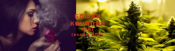 прущие крисы Богданович
