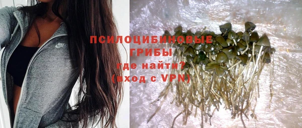 COCAINE Богородск