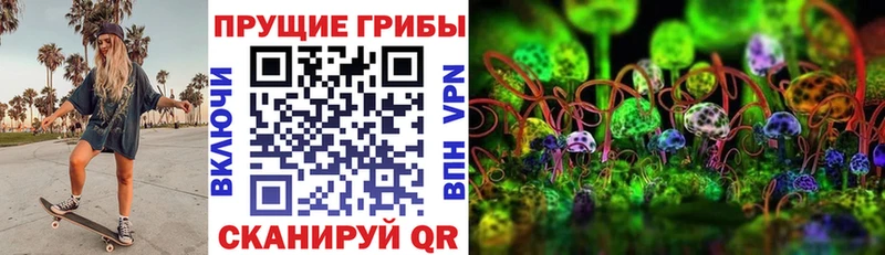хочу наркоту  Удомля  Псилоцибиновые грибы Magic Shrooms 